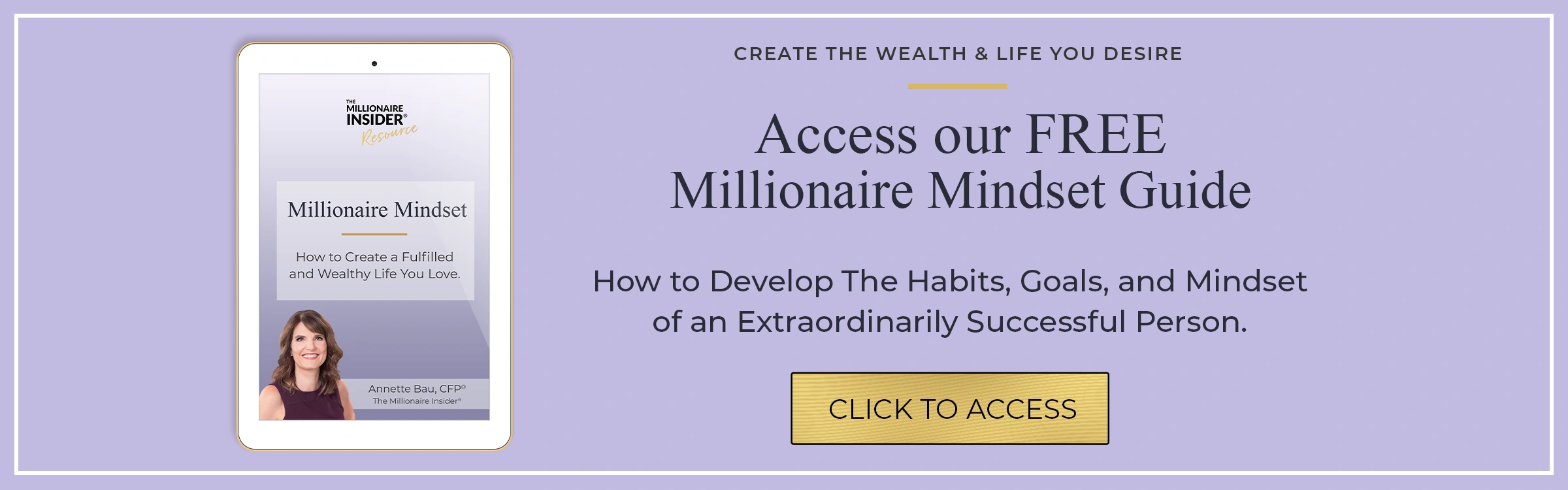 the millionaire mindset guide