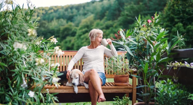 Should I Purchase Pet Insurance?