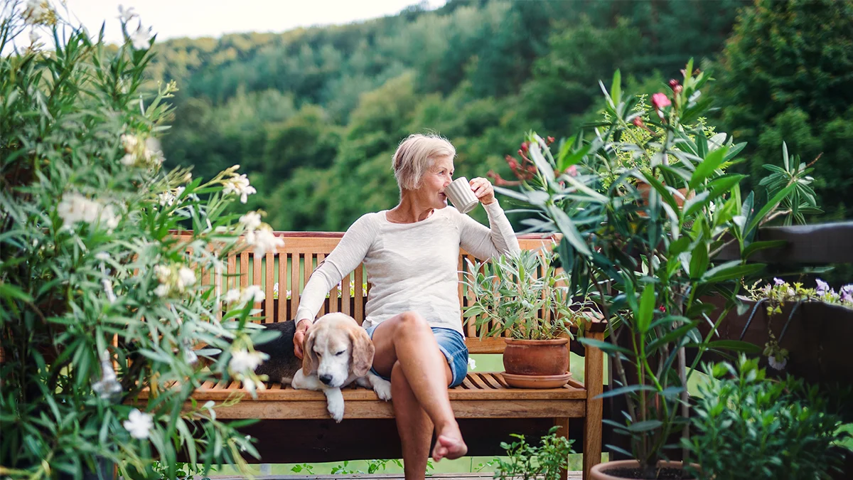 Should I Purchase Pet Insurance?
